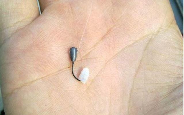 白米饭钓鲫鱼有奇效,尤其是在这个时间段,胜过商品饵!