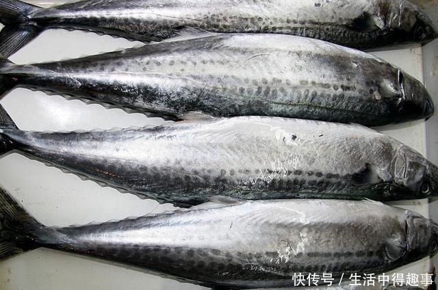 海鱼|买鱼时，就买这5种，都是野生鱼，目前无法人工养殖，可放心食用