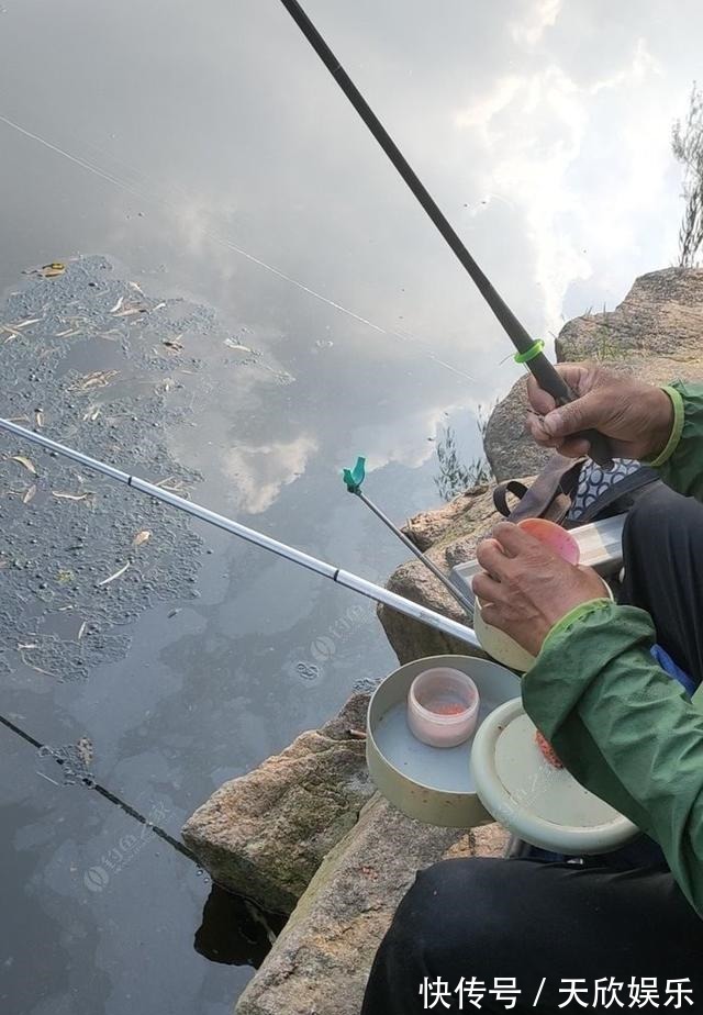 向高龄钓友请教的“摇三摇”钓法,毫无保留的分享给大家