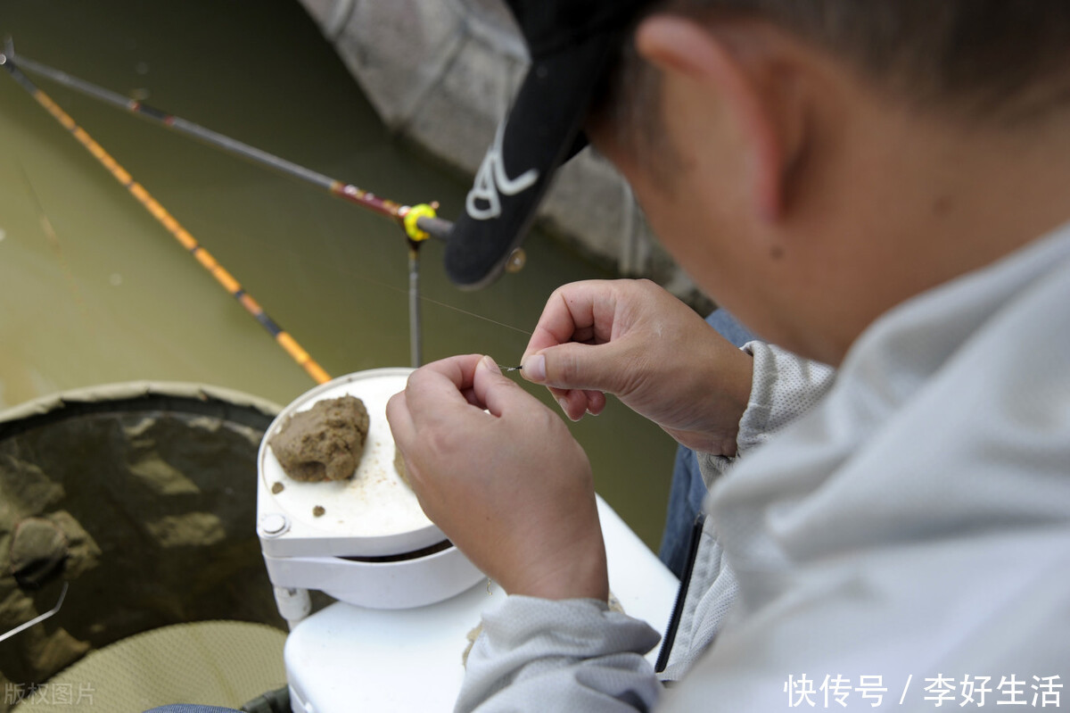 统统|煮熟发酵过的玉米打窝,大板鲫、鲤鱼、草鱼统统拿下