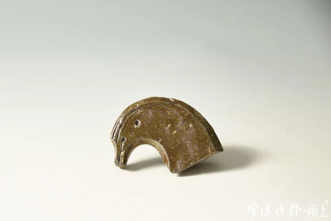  2号护岸|罕见！宁波又有重大发现！