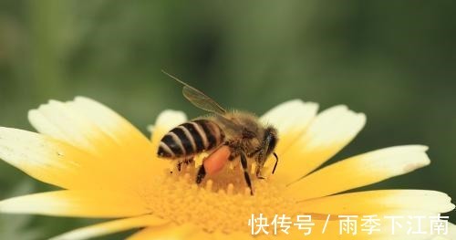 光宗耀祖|孩子出生在几点钟,孝心十足,日后必定是有用之才,光宗耀祖