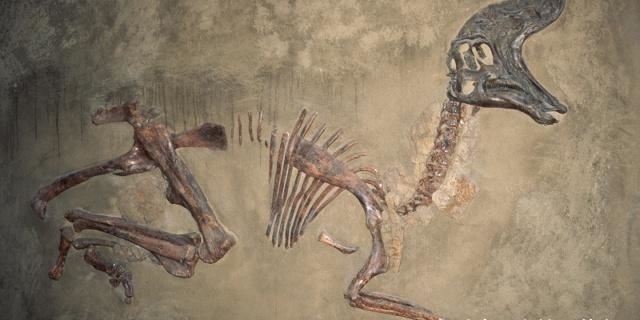 10个冷知识：爱说谎的孩子，都是坏孩子吗