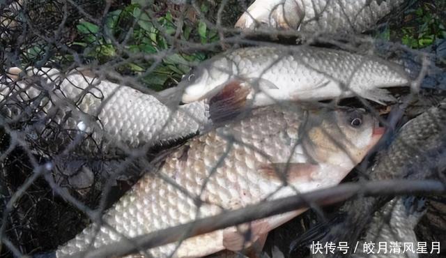 野钓|双钩挂蚯蚓野钓,就用这两种调漂方法,操作简单还精准