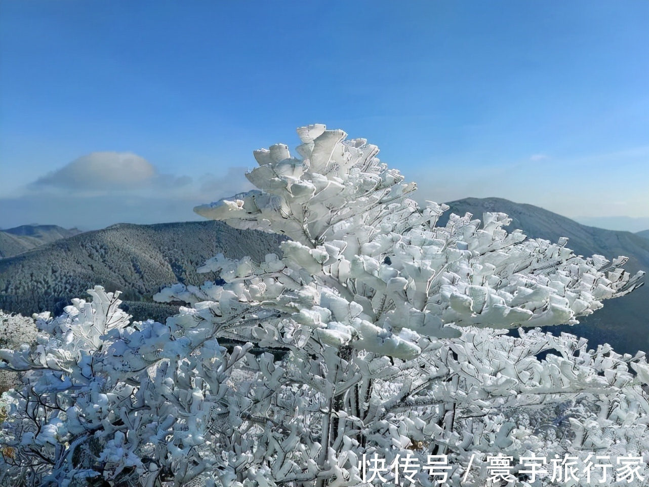 指南|泼彩季即将来临！快快收好这份【缙云高质量登山踏秋指南】