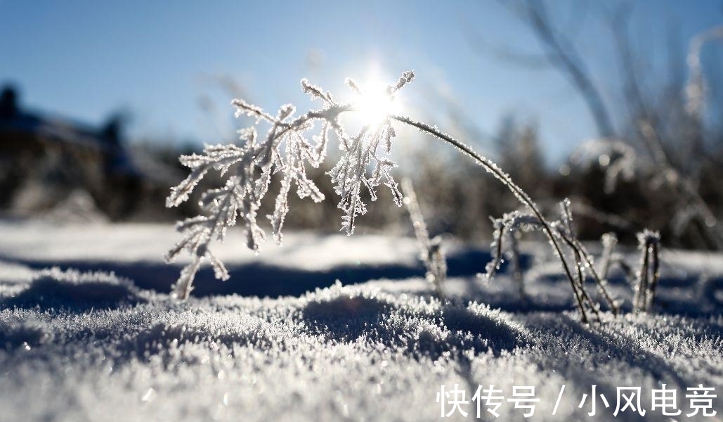 冬天&寒夜煮茗，围炉清谈。宋诗里的冬天温暖美好，是生活不可缺的诗意