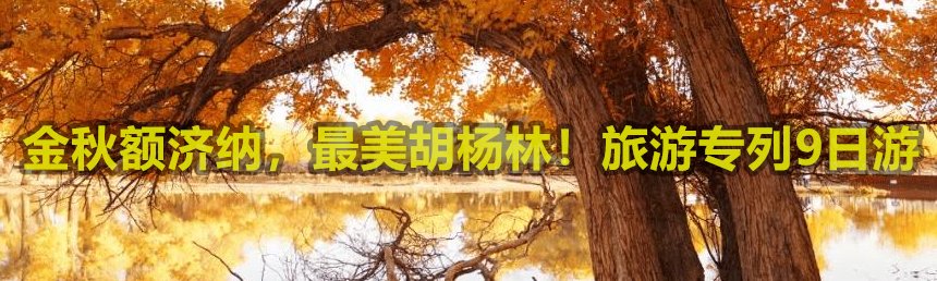 均价|菏泽最新房价出炉