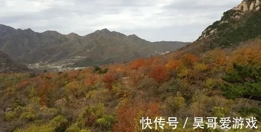 山区|北京最美秋景之：五彩大杨山