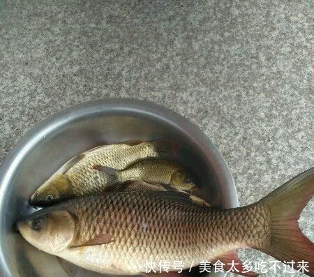 钓鱼|公园钓鱼,鱼竿被拖下水,游泳扛回,发现鱼还在!