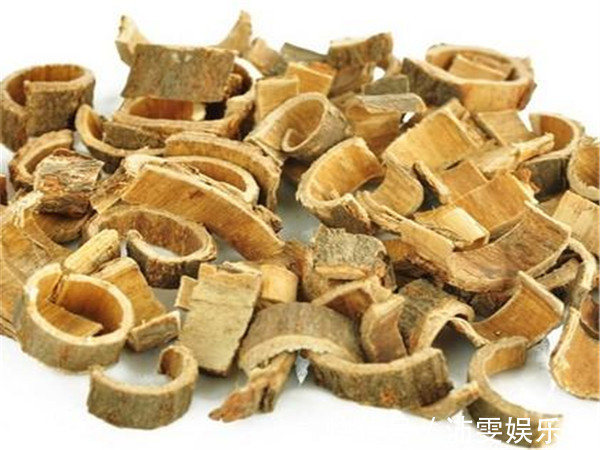 名医|11个名医名方大荟萃！个个都见功力，花最少的钱，有最好的疗效！