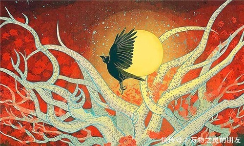 青铜时代 太阳表面是什么样科学家公布唯一一张照片,网友很像人体细胞!