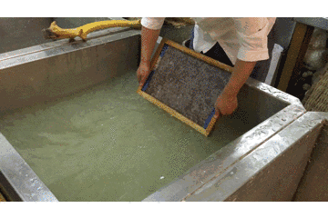 地方|你曾经用过的纸,也许是这个地方的农民造的