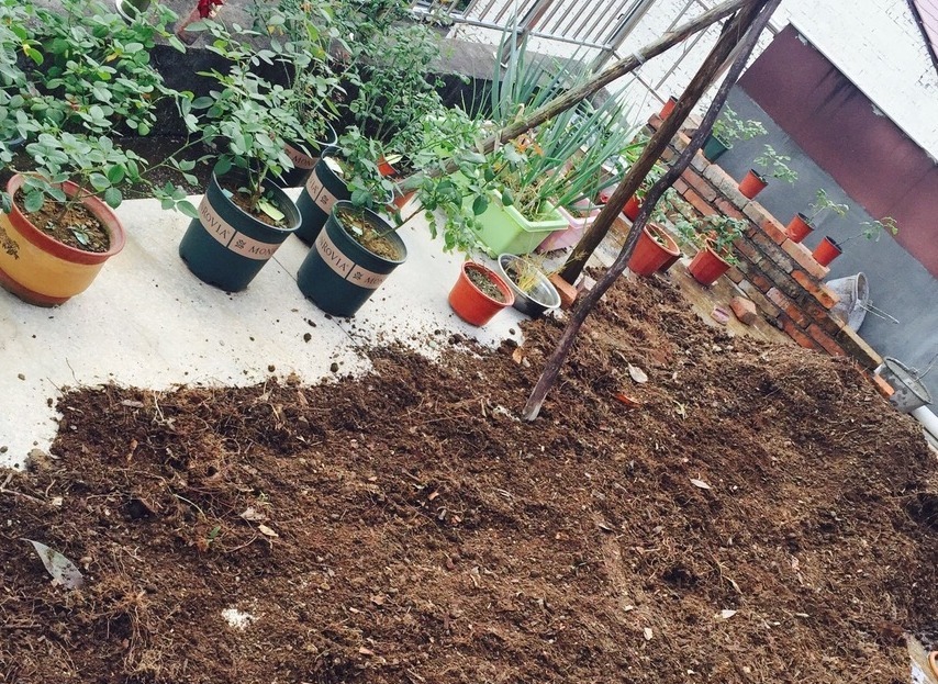 果皮|这种土是万能肥，养啥花都用得上，还不用操心烧根