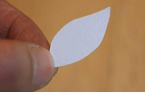 保证|吃完的坚果不能丢,坚果壳变身记,保证创意一箩筐