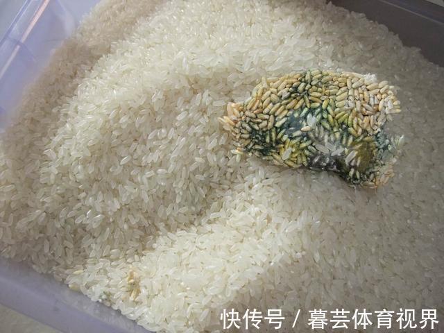 豆芽|经常吃面条对胰岛不好?医生:若不想患上糖尿病,3种素食要少吃