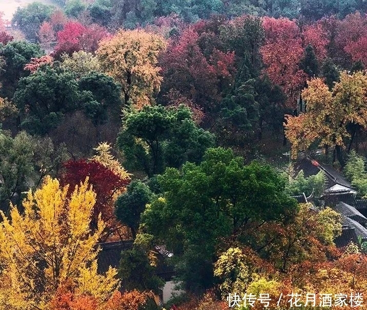 苏州太湖西山岛|苏州人的宝岛秘境，美成仙境，却被时光遗忘！