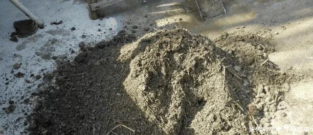 春天换盆“旧土”怎么办加2种“东西”,养花肥沃疏松,能爆盆