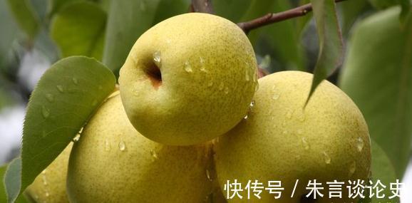 阴阳|秋分后，寒气渐重，遵循4条养生秘诀，平衡阴阳，全面增强抵抗力