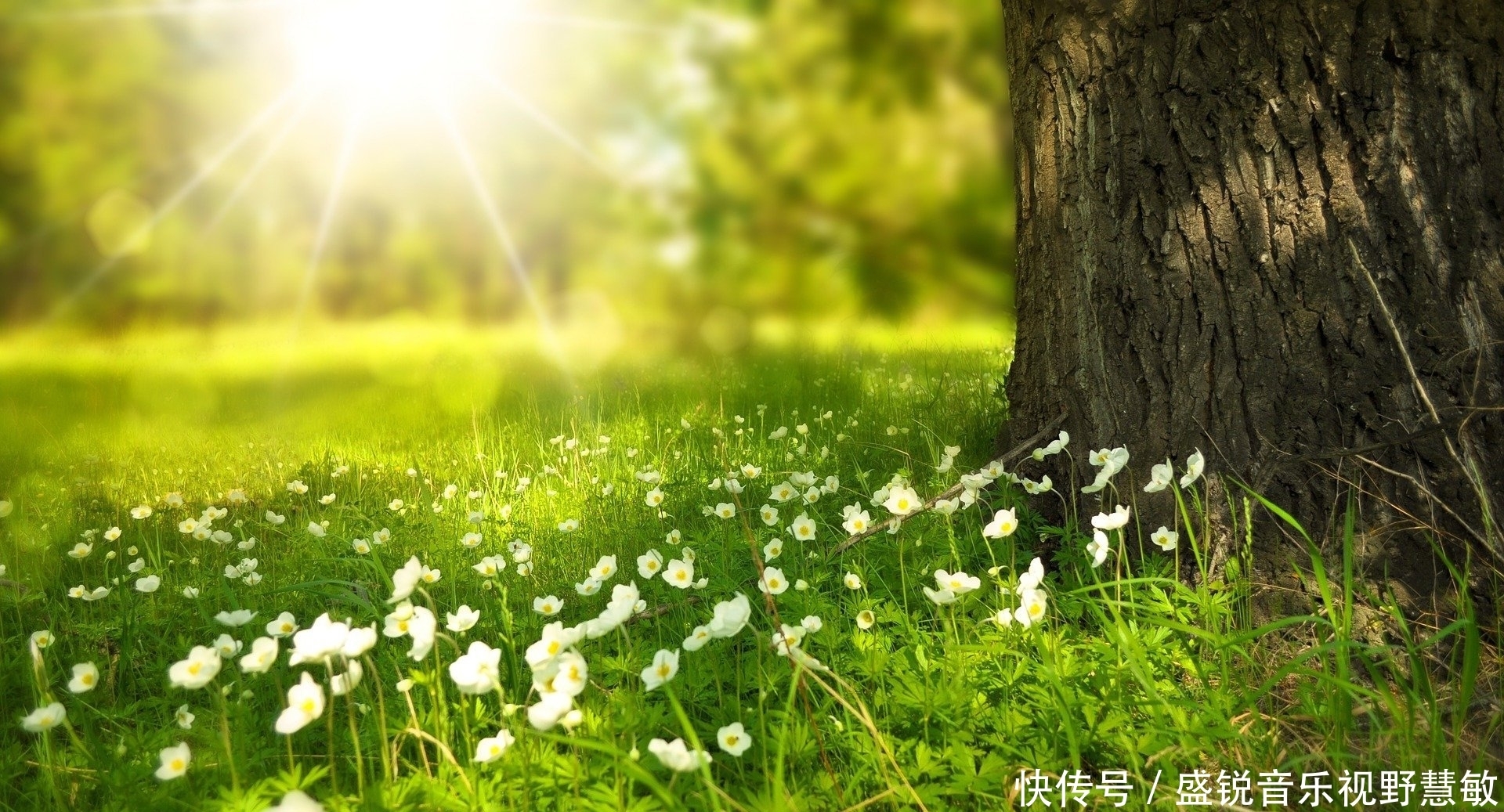 垂钓|钓鱼打窝的基本原则与需要注意的地方(不错)