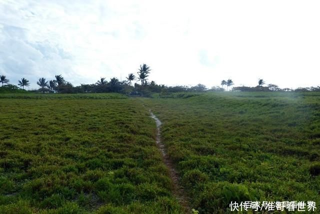 西月岛战略价值有多大，扼守重要水道，毗邻油气富集区