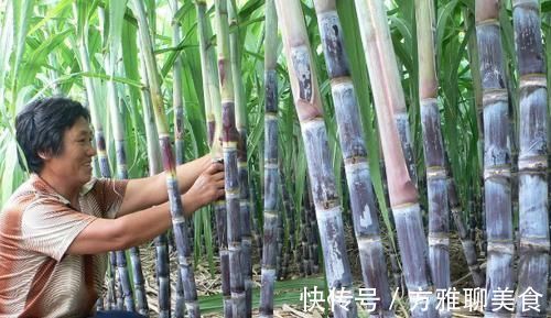 食物|给高尿酸人士提个醒：这3种食物尽量少吃，更利于稳定尿酸