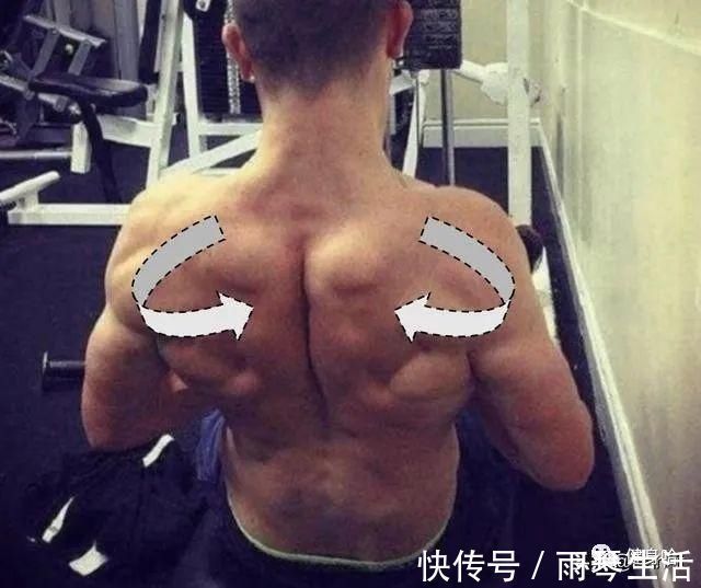 动作|绳索面拉，你到底拉向眼睛还是嘴巴练背还是练三角肌