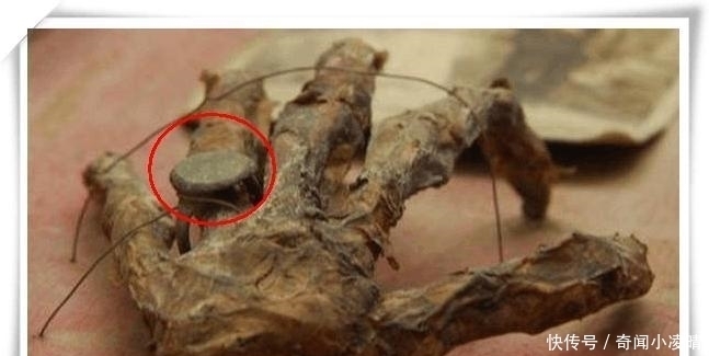 意外|男子在整理老房子时意外发现一个古老木箱,打开一看,顿时懵圈了