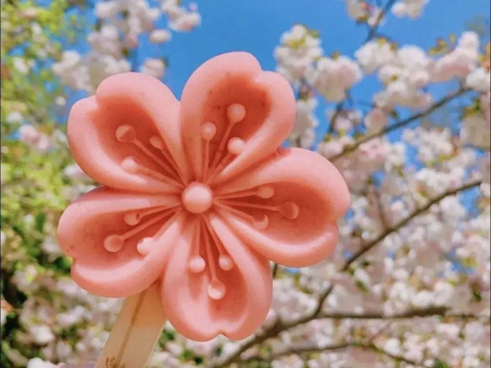  玉渊潭|景区跟风出文创雪糕，拜托走点儿心吧！