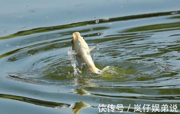 钓鱼只需5招,浮漂信号放大好几倍!