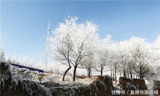 满山|如梦如画！通渭华家岭满山雾凇醉游人