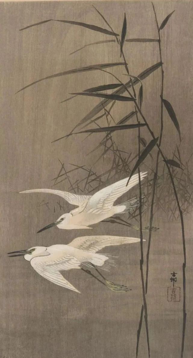 日本绘画大师的花鸟画，淡雅清新