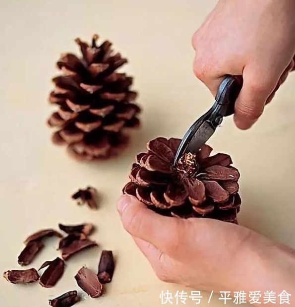 松子!农村阿姨,村里捡了一堆的“松果”,回家改造后邻居出2千来买