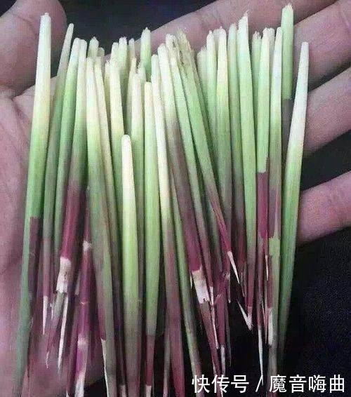 买不到|农村小孩小时候吃过的东西,花钱都买不到 , 你吃过吗?