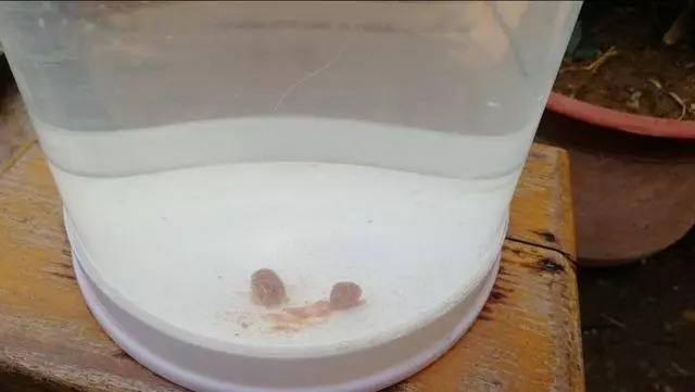 浮漂|冬季鱼口轻,浮漂调钓很重要,这两点不考虑有口也没信号