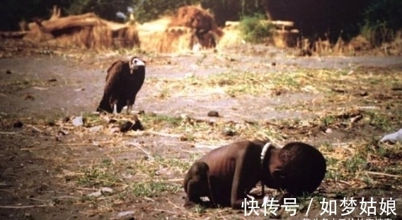 凯文&一张获奖照片:秃鹫站在女孩身后等她死去,作者受质疑自杀身亡