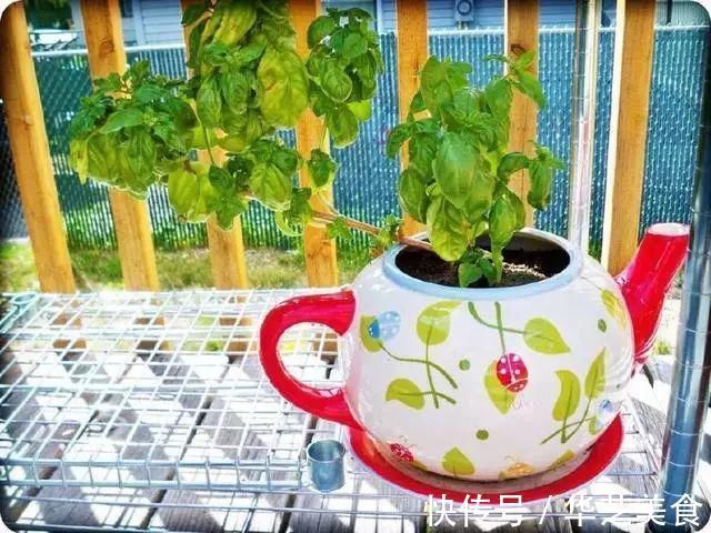 鞋子|她把家里的旧鞋子、茶壶用来种花，卖300一个邻居抢着要！