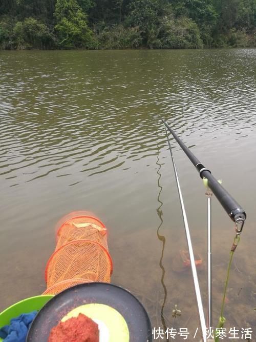 六陈水库开光新鱼护,崇尚不以爆护秀钓技