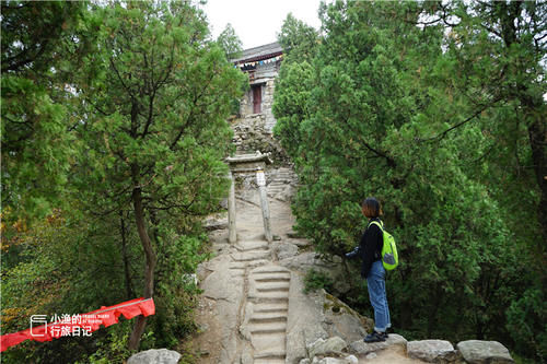 西安秦岭穿越，山顶偶遇“小华山”，简陋小庙修行人用龟壳泡药酒