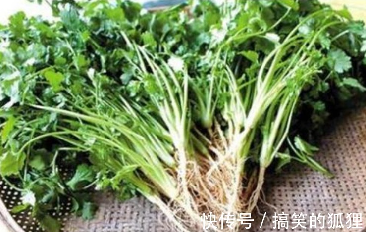 温胃散寒|“天然感冒药”找到了，常用此物煮水，连喝三天，冬天不咳嗽！