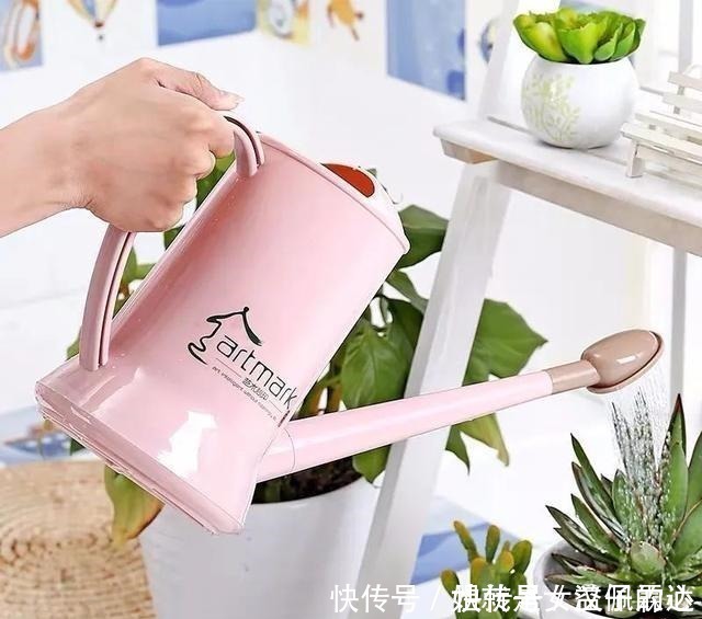 五忌|养花有“六戒”、“五忌”,难怪你的花总养不好,原来是犯了忌讳!