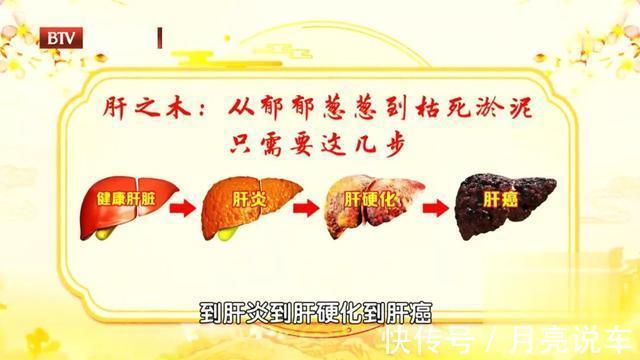 脾胃论|身边的“天然解毒王”！每天吃一点，健脾祛湿、给肝脏洗洗澡