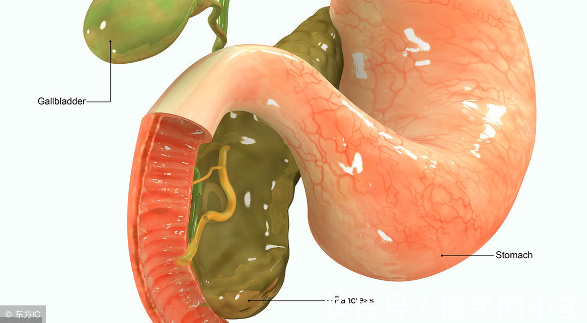 催命符|花生是长寿果，但也是催命符！4种人越吃越伤身！你能吃吗