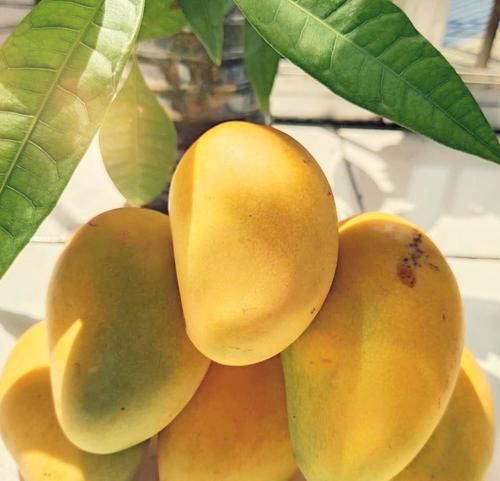 到西双版纳，这些热带水果没吃就白来了