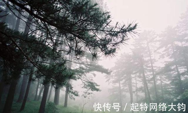 梁山好汉!梁山好汉排名疑云,孙立朱武屈于地煞,解珍解宝为何能位列天罡?