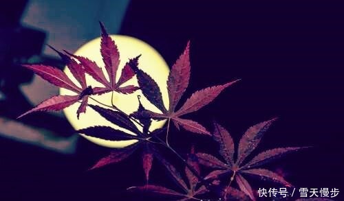 相思|秋来，一处相思，两处闲愁，知否知否念你依旧