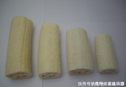 花盆里垫点底料,根壮叶绿状态好,爆盆真简单