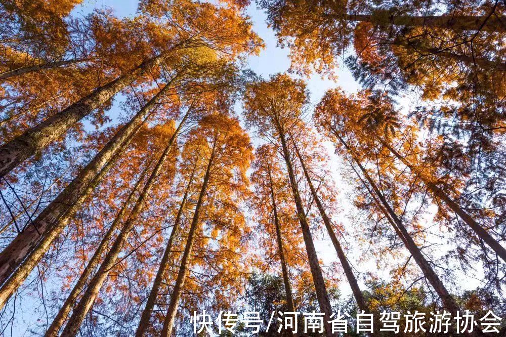 千岛湖与你共赏人间最美清秋|九月你好 | 清秋