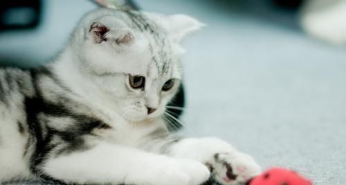 生活环境|生日尾数是几的孩子,一生注定不平凡,出人头地,父母少操心