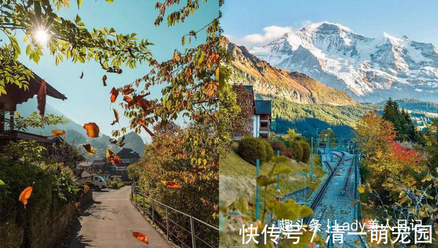 穿搭 聪明女人穿裤子,都会避开这些坑,秋冬最全“裤装穿搭”帮你备好