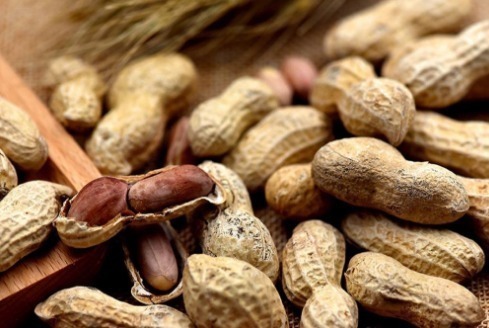 花生|早上空腹吃几粒花生,坚持下去,3件“好事”可能会不请自来